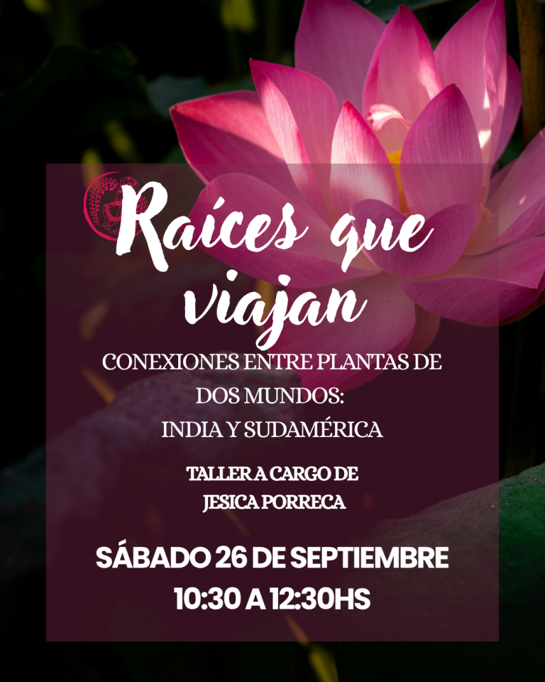 RAÍCES QUE VIAJAN – TALLER –